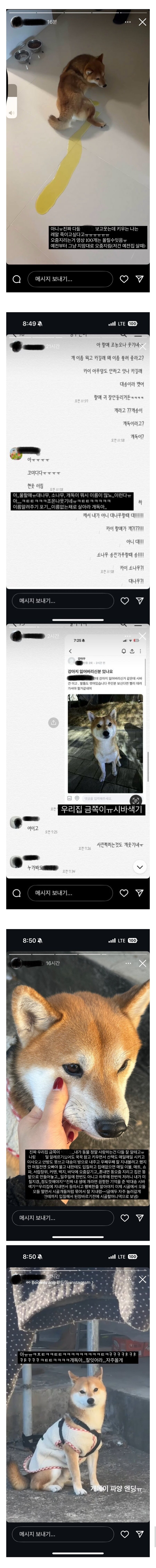 어젯밤에 날벼락 맞은 현대해상 유튭 담당자....._2.jpg