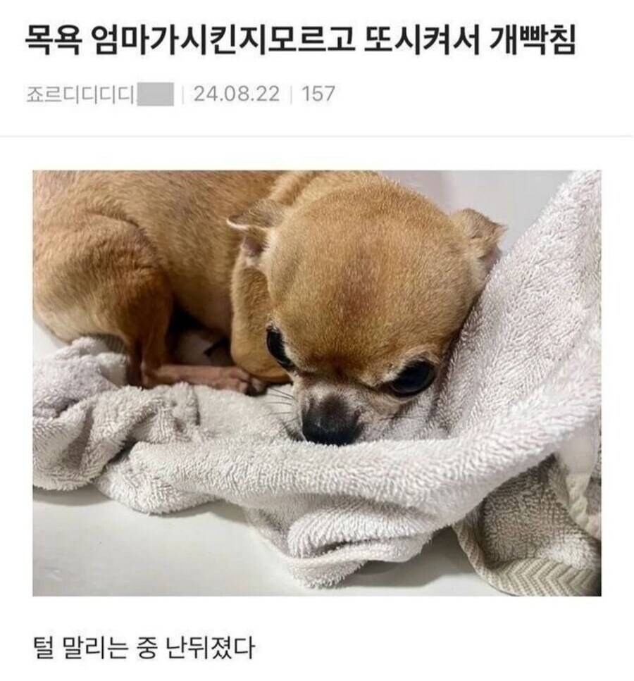 죽기 전 마지막 남긴 글_1.jpg