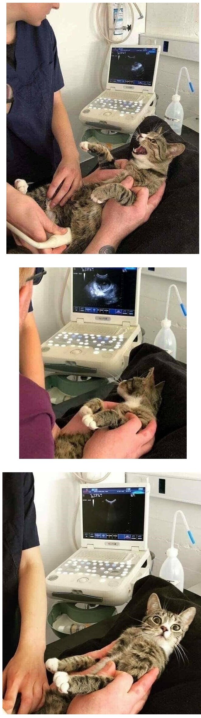 귀여운 동물들_8.jpg