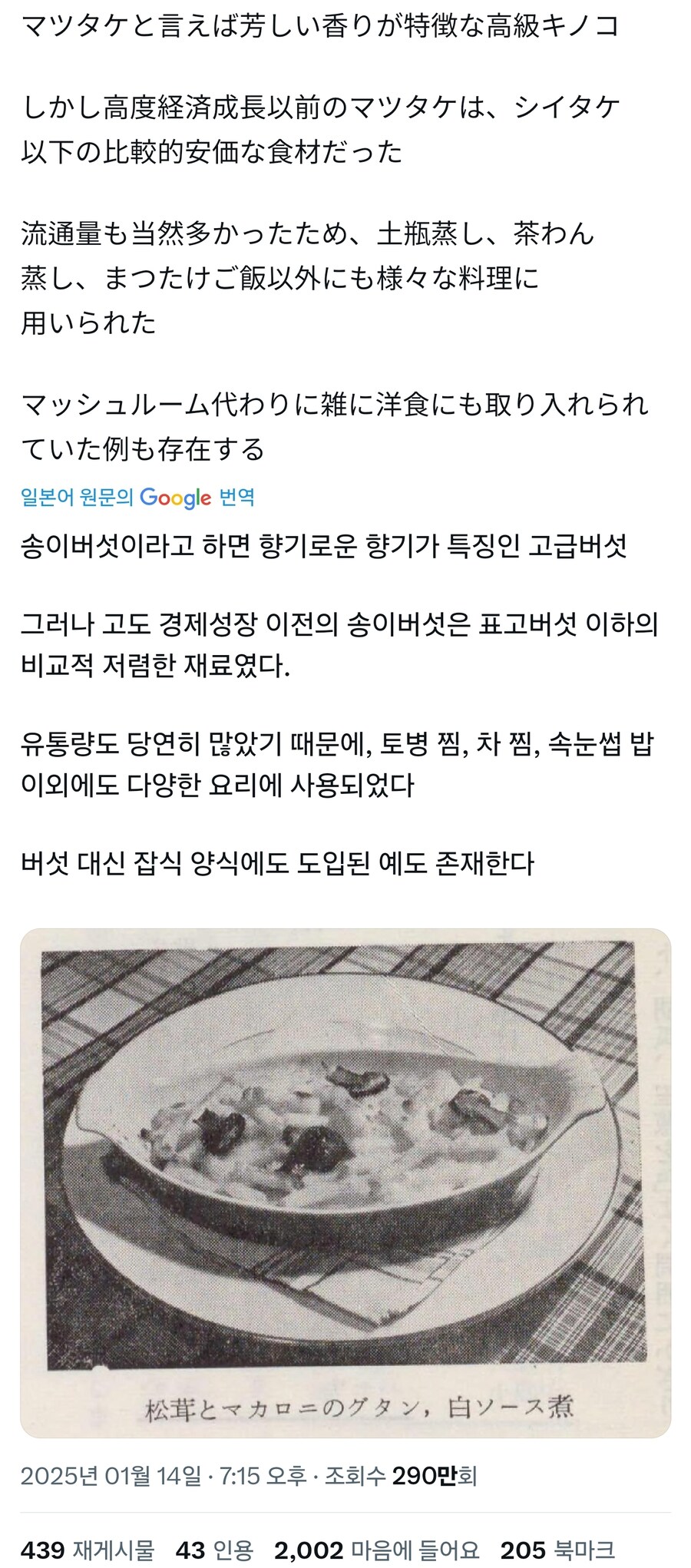 고오급재료의 대표인 송이버섯 특_1.jpg