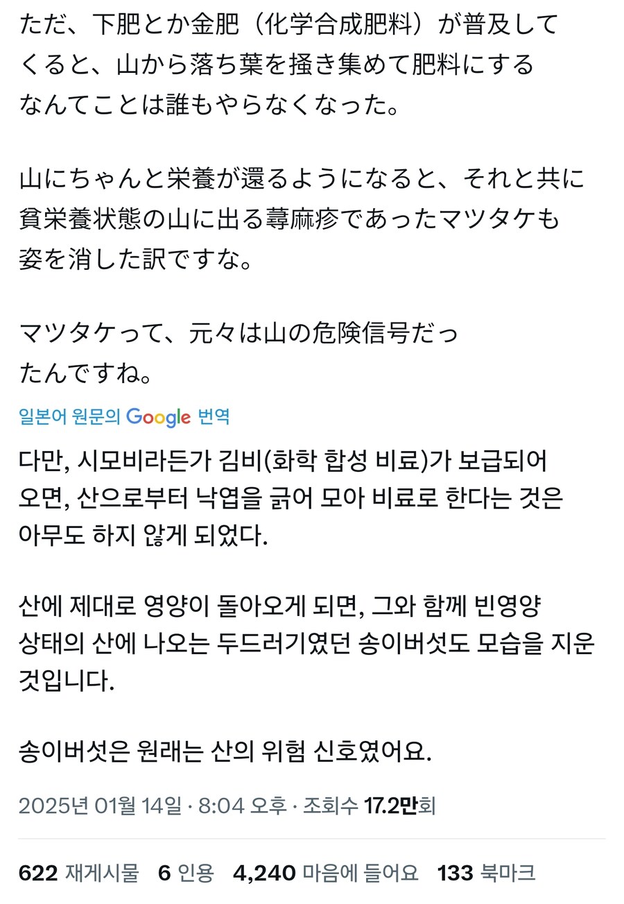 고오급재료의 대표인 송이버섯 특_3.jpg
