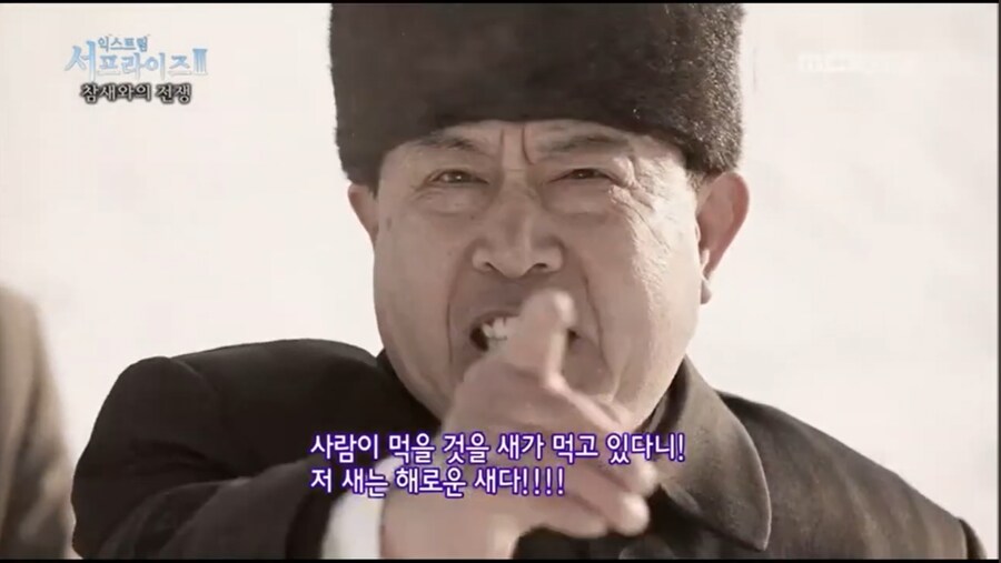 저 새는 해로운 새다_1.jpg