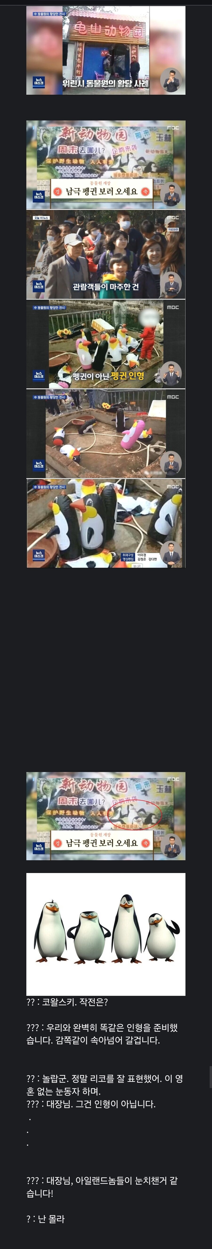 중국에서 벌어진 남국펭귄 공개 대참사_1.jpg