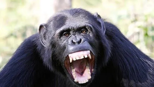 약혐)인터넷 기자는 개나소나 다 할 수 있다는 증거_8.webp