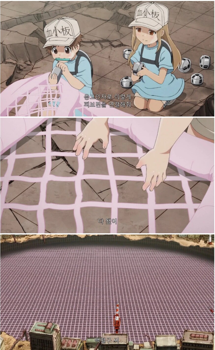 상처가 치료되는 과정.jp_2.png