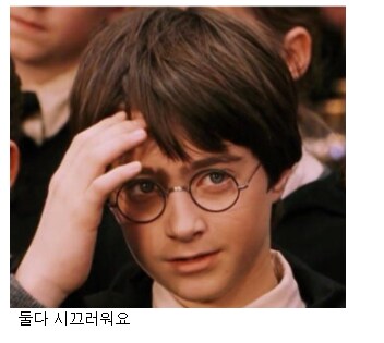 해리포터)제임스vs스네이프 논란에 종결찍는게 가능한 캐릭터_2.png