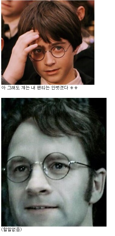 해리포터)제임스vs스네이프 논란에 종결찍는게 가능한 캐릭터_6.png