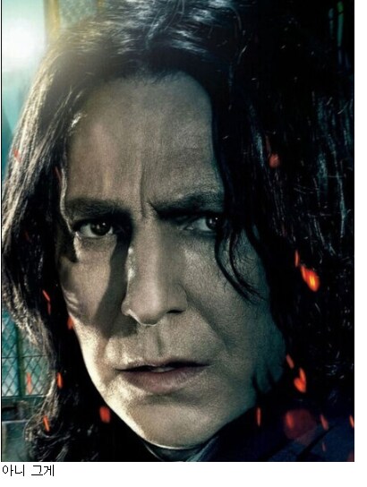 해리포터)제임스vs스네이프 논란에 종결찍는게 가능한 캐릭터_8.png