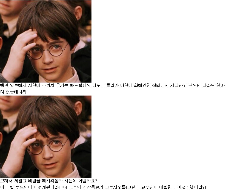 해리포터)제임스vs스네이프 논란에 종결찍는게 가능한 캐릭터_9.png