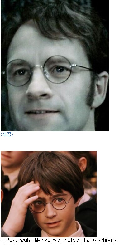 해리포터)제임스vs스네이프 논란에 종결찍는게 가능한 캐릭터_12.png