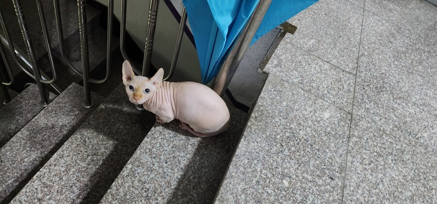 아파트에서 돌발 퀘스트 받은 사람.x_2.jpg