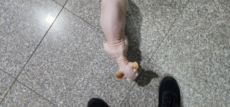 아파트에서 돌발 퀘스트 받은 사람.x_3.jpg