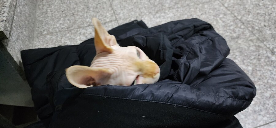 아파트에서 돌발 퀘스트 받은 사람.x_4.jpg