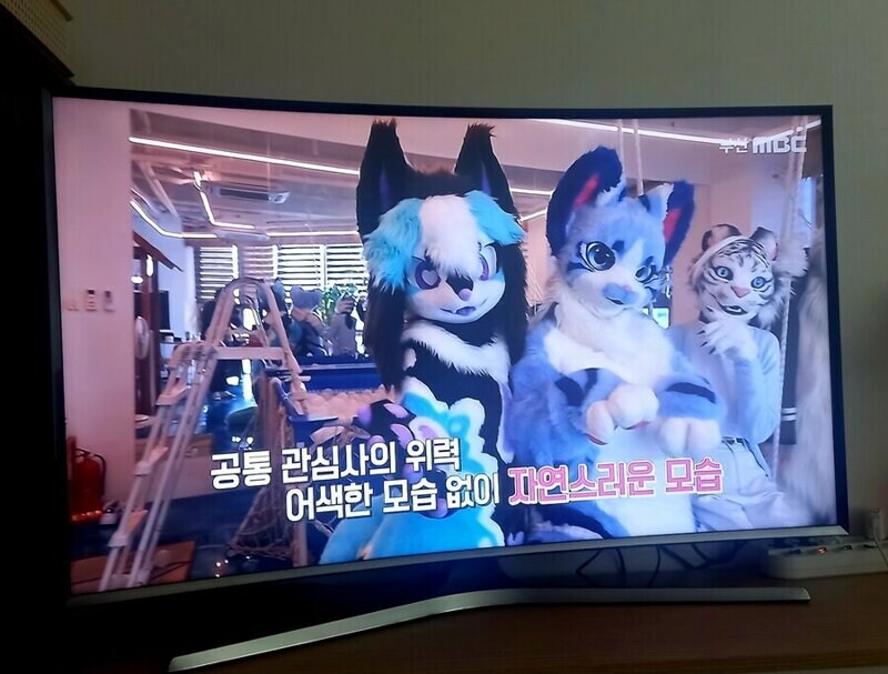 MBC 문화방송 근황.jpg_1.jpg