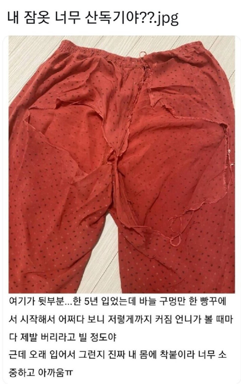 고도의 거지는 환경운동가와 구별할 수 없다.jpg_1.jpg