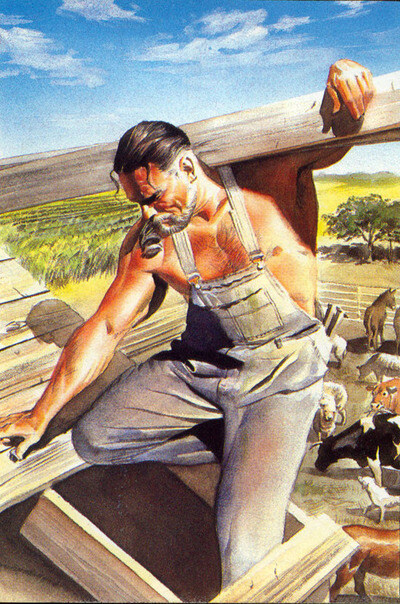 미국 농부라고 다 기계화 대농이란 것도 편견임_1.jpg