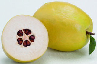 90-00년대 차멀미 유발제.jpg_1.jpg