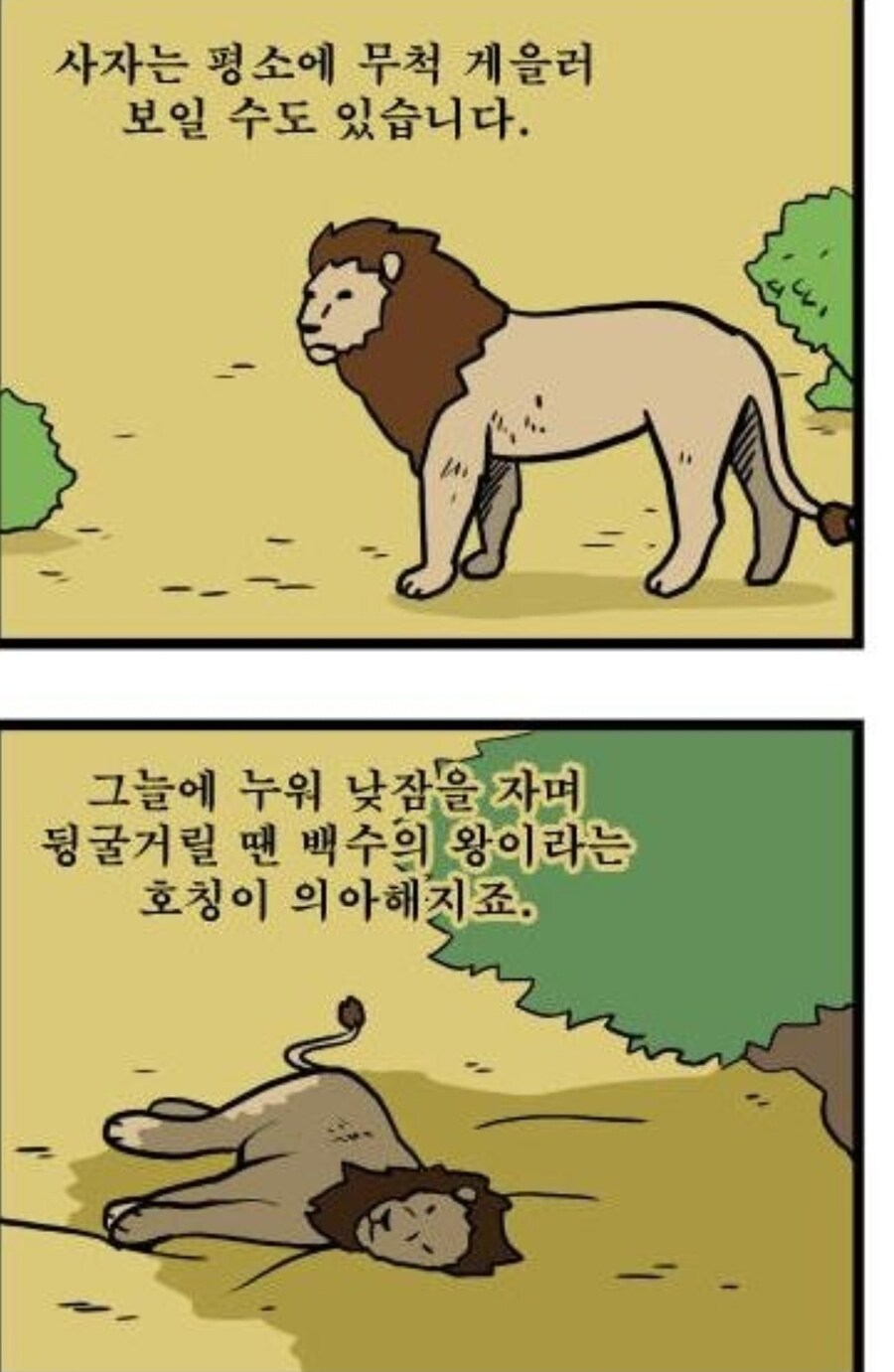 무능한 수컷 사자는 아내가 일할때 뭐함?_1.jpg