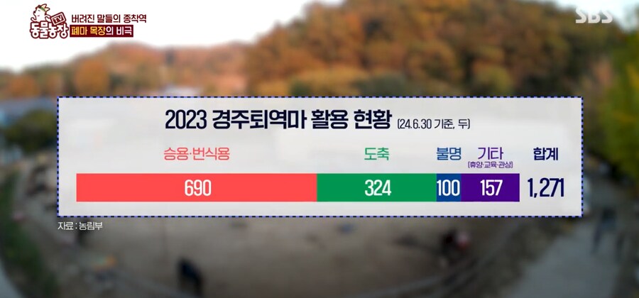 오늘자 동물농장 회차 : 통계를 살짝 장난쳤습니다-☆_1.png