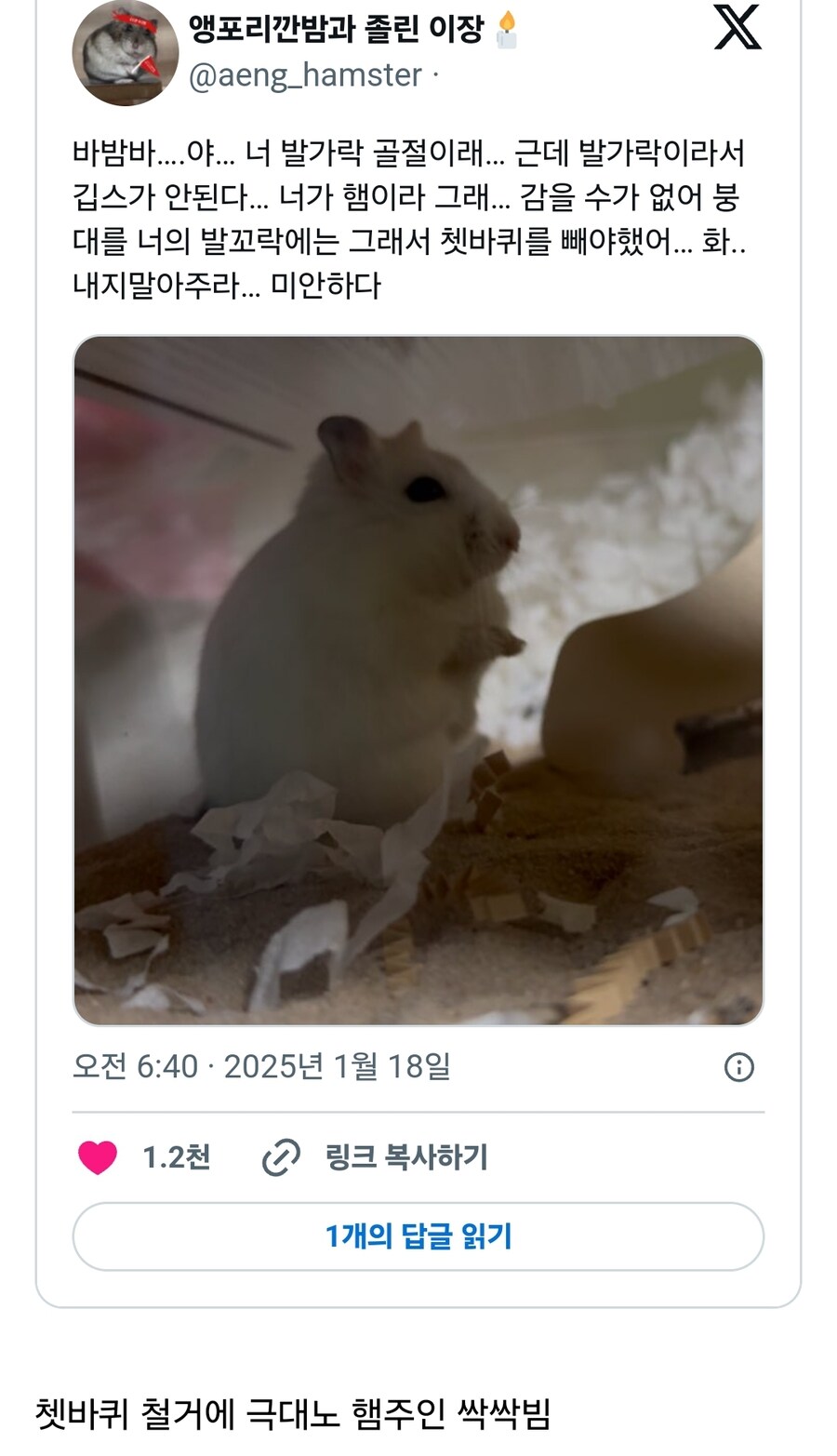 발가락 골절 된 햄찌_1.jpg