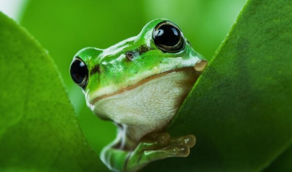 소설만화영화애니 이야기만 하는 이유_4.png