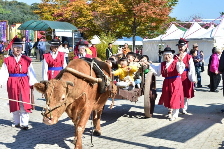 의외로 술마시고 운전해도 합법인 차_1.jpg