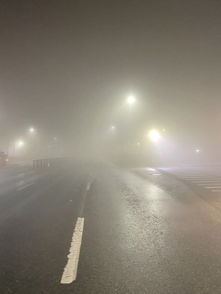 와오.. 오늘아침 안개 뭐냐..?!?_1.jpg