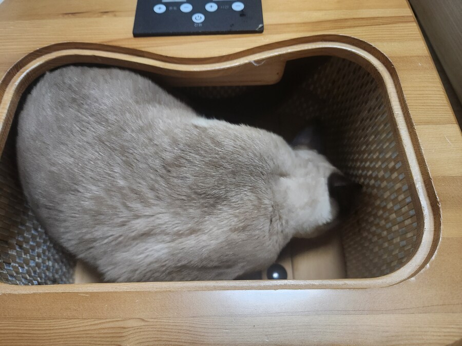 고양이를 위해서 전용 사우나를 샀습니다만...._5.jpg