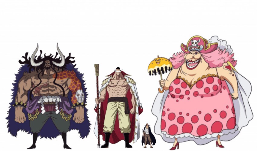 원피스 팬들도 쉴드치지 않고 욕하는 설정.jpg_12.png