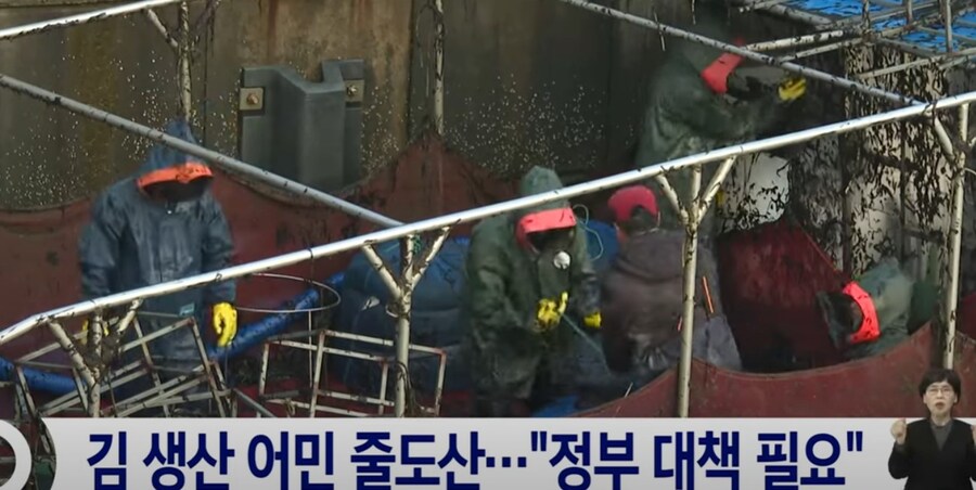 떡상 했다가 불과 한달만에 떡락한 미래? 기술_8.jpg