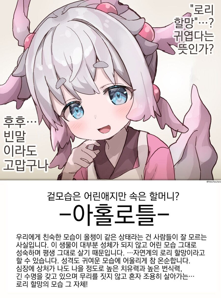 의외로 진짜 로리 할망구가 존재하는 종족_1.jpg