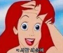 저 이거 이제야 확인 함_2.png