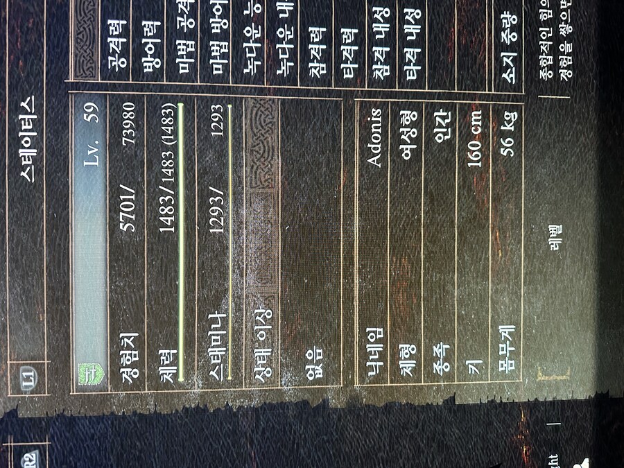 PS)도적이랑 파이터 장비 좀 부탁드립니다_1.jpg