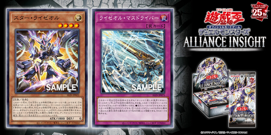 [얼라이언스 인사이트]라이제올 2장_1.jpg