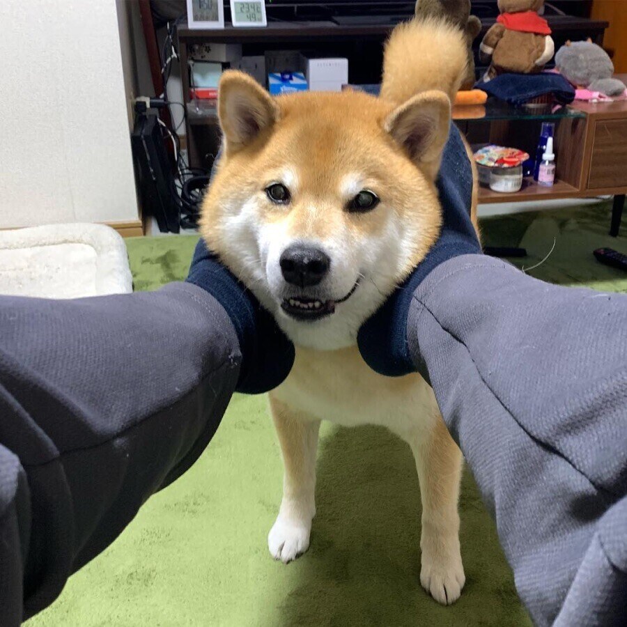 정말로 진인한 게임패드 제조공정_2.jpg