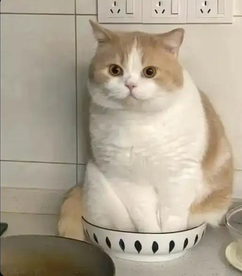 50세 생일을 맞아 성형수술을 한 여자.txt_1.jpg