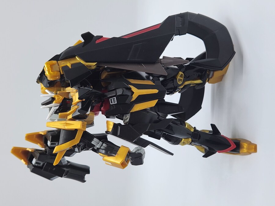 [HG]건담 슈발츠클라우에_1.jpg