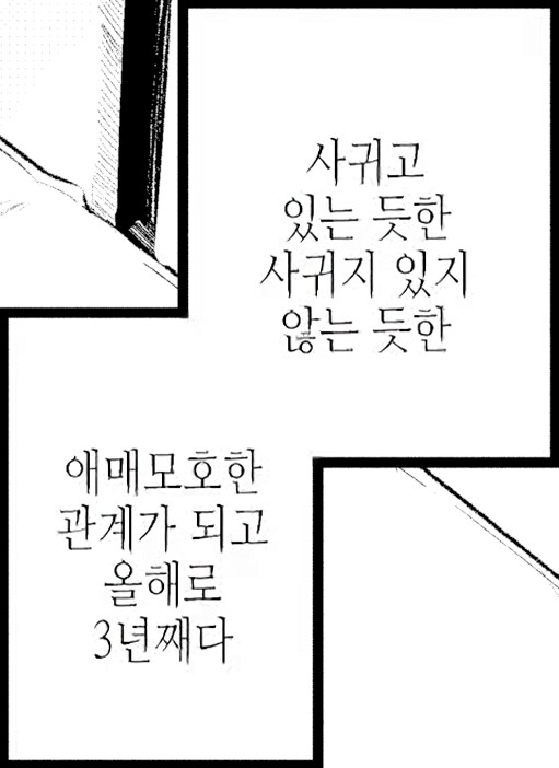 야생 고양이로 맺어진 인연.manhwa_4.png