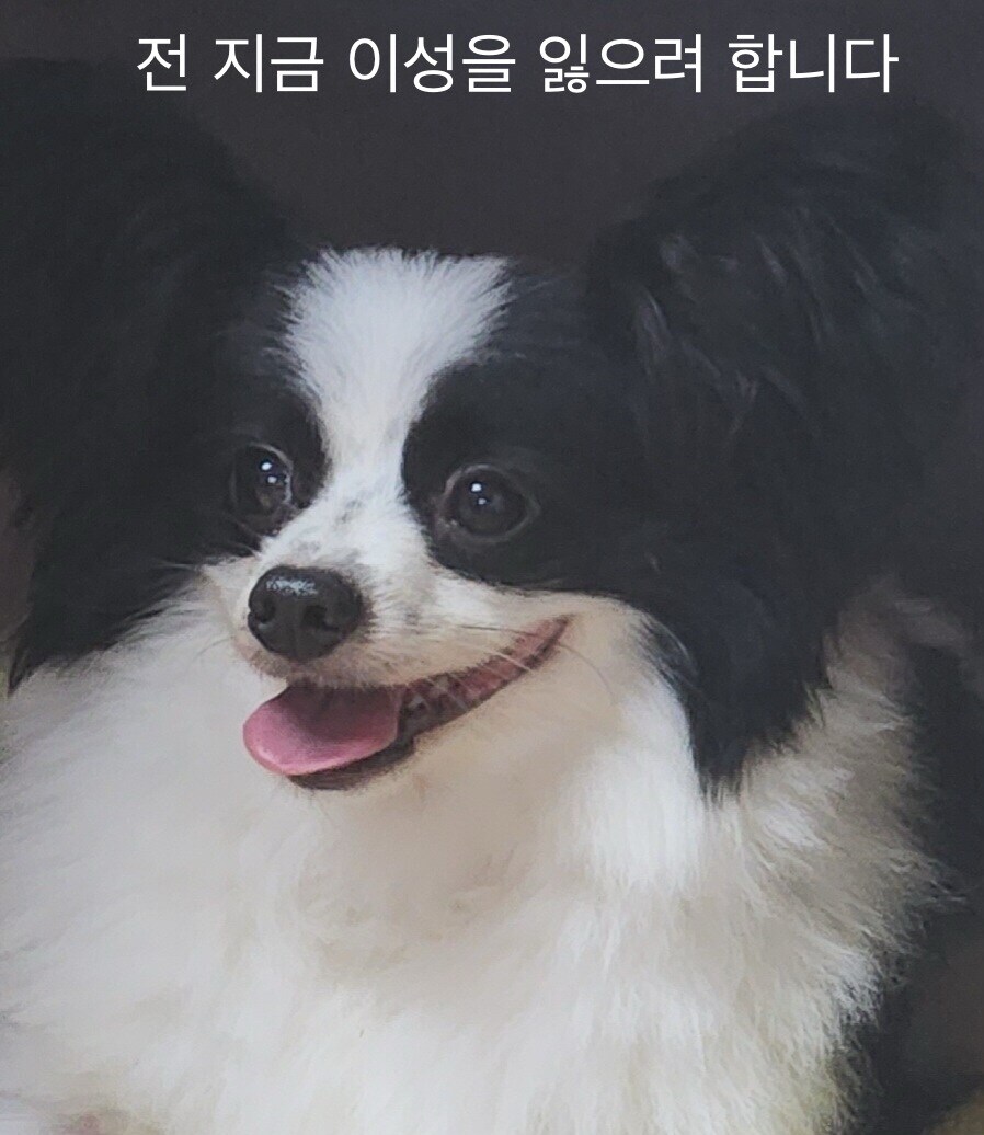 텔레파시 강1간 말고 진짜 있는 성추행_2.jpg