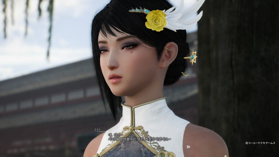 진 삼국무쌍 ORIGINS 견희_14.jpg