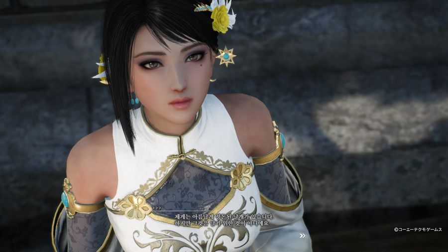 진 삼국무쌍 ORIGINS 견희_17.jpg