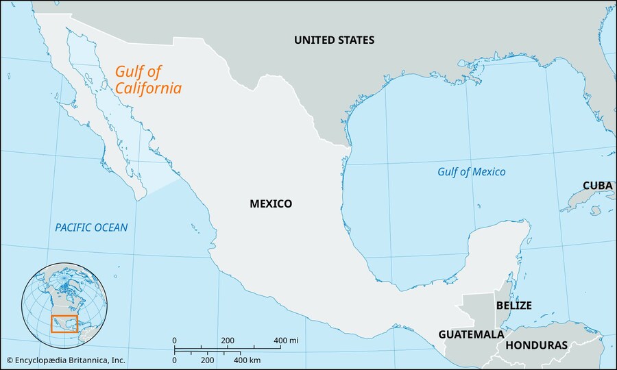 "아메리카 만" 당한 멕시코가 당장 해야하는 것_1.jpg