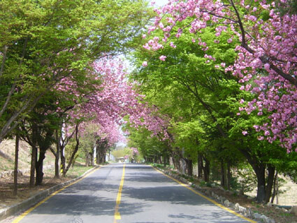 의외로 추억의 장소인 곳_2.jpg