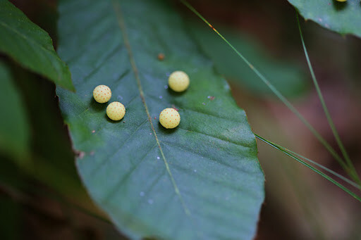 의외로 추억의 장소인 곳_3.jpg