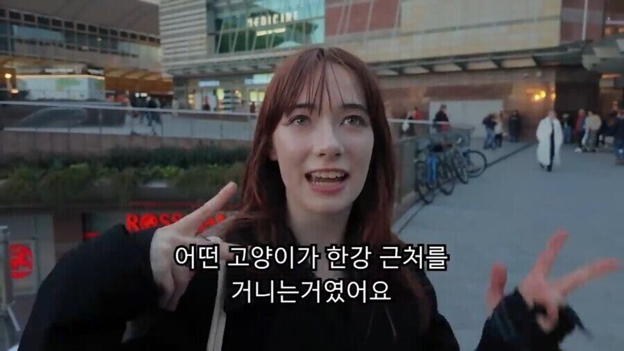 서울 한강이 해외에서 유명해진 이유.jpg_8.jpg