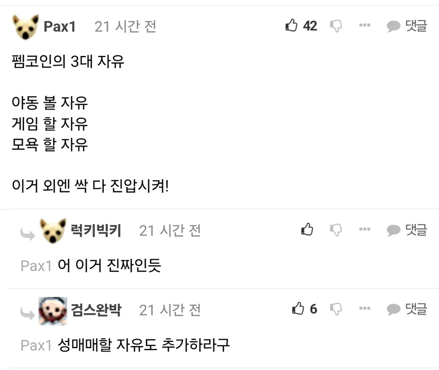 펨코인이 말하는 3대 자유_1.webp