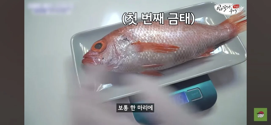 100만 수산물 유튜버 근황_1.webp