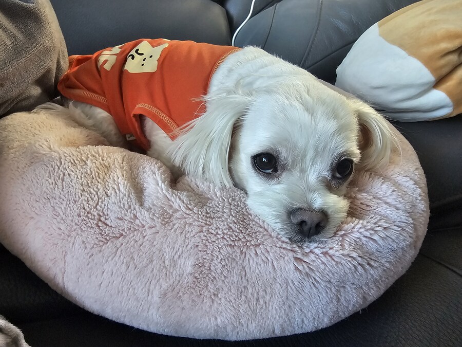 잘생긴 유게이들만 추천줘봐라_1.jpg