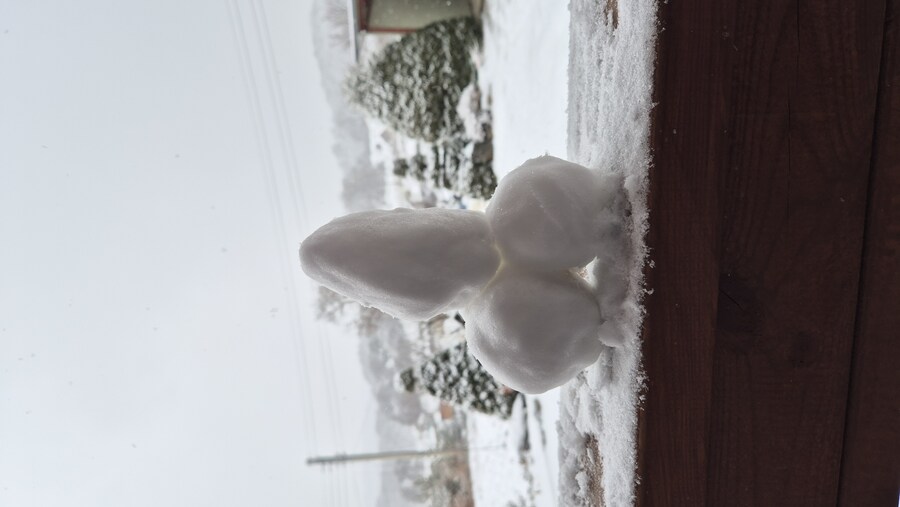 눈올때 시골 풍경_2.jpg