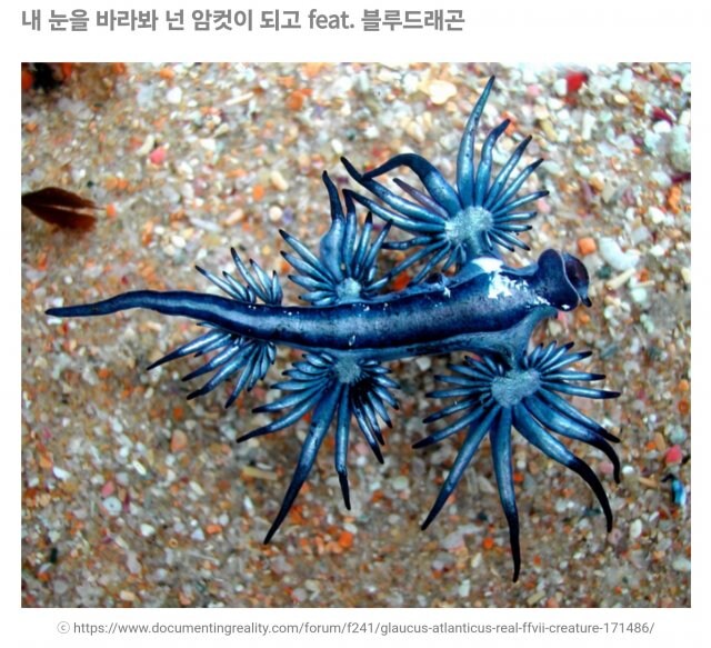 히토미에서 본적있는 실제 교미방법&nbsp;_5.jpg